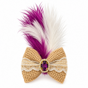 leuke strik voor tijden ssinterklaas!